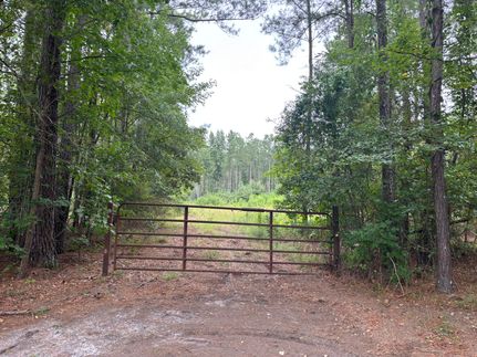 Hunting Land for sale in Darlington County, South Carolina