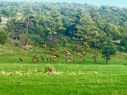 Property for sale in Lincoln County, New Mexico