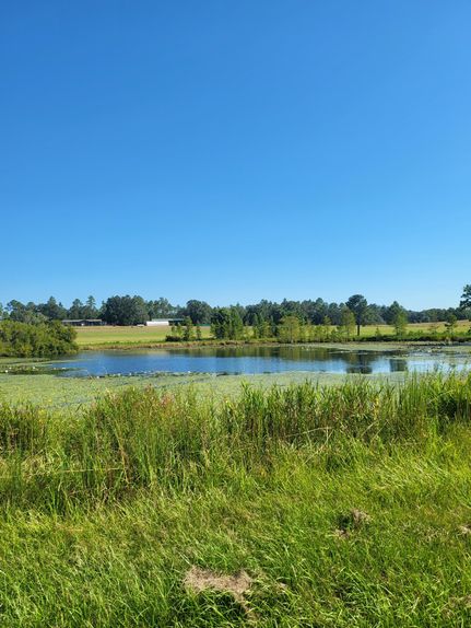 Property for sale in Washington County, Florida