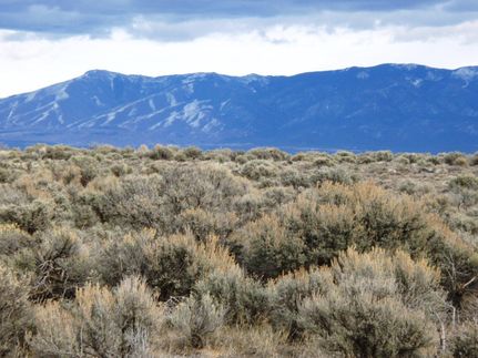 Property for sale in Taos County, New Mexico