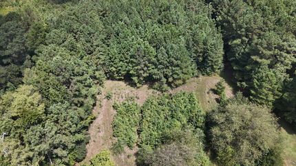 Property for sale in Robeson County, North Carolina