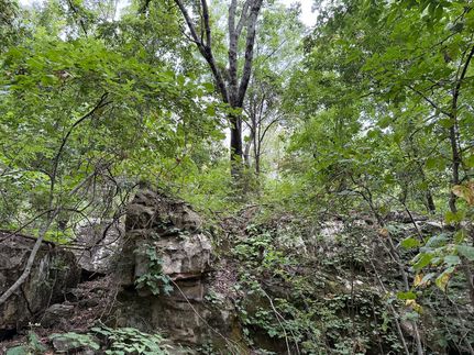 Timberland Property for sale in Boone County, Arkansas