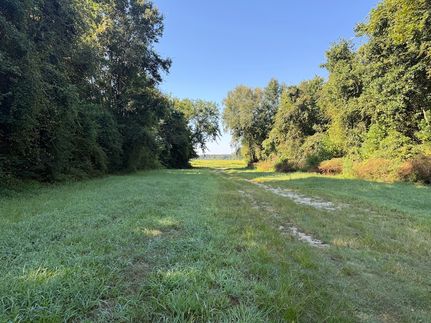 Property for sale in Greene County, North Carolina