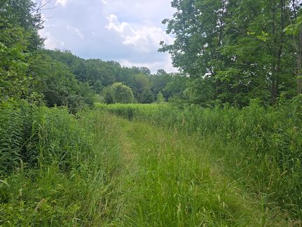 Property for sale in Chenango County, New York