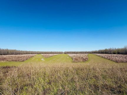 Property for sale in Sharkey County, Mississippi