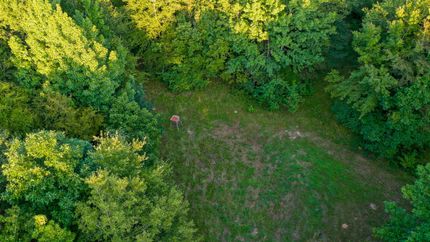 Property for sale in Marion County, Texas