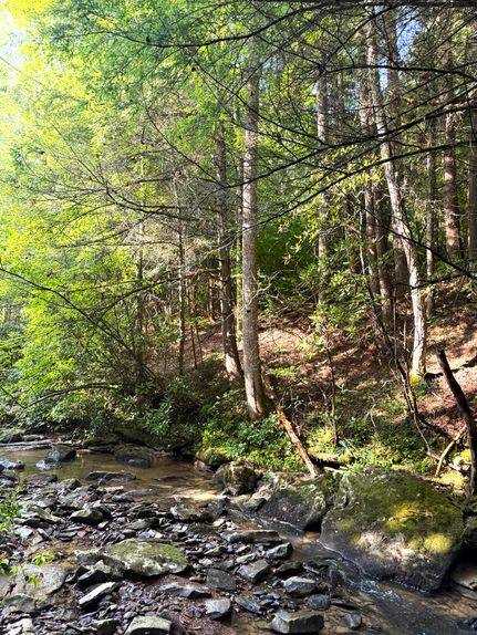 Horse Property for sale in Scott County, Tennessee