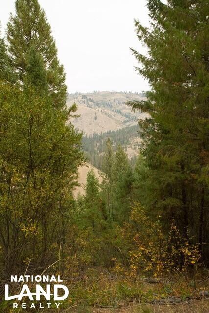 Hunting Land for sale in Boise County, Idaho