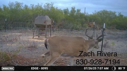 Property for sale in Duval County, Texas