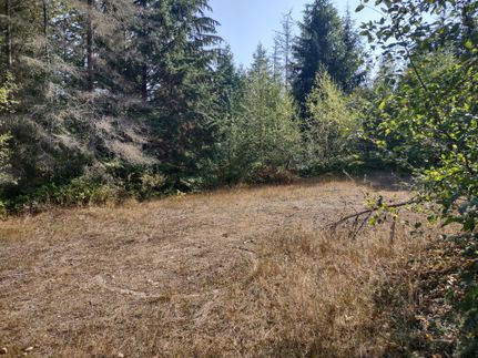 Undeveloped Land for sale in Clallam County, Washington
