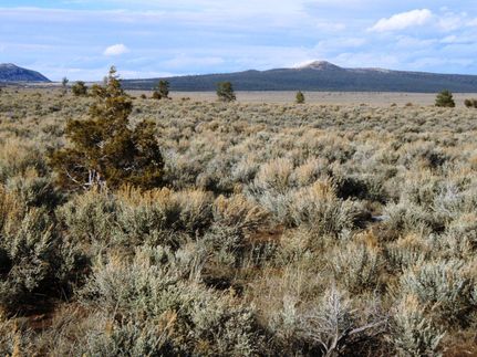 Residential Property for sale in Taos County, New Mexico