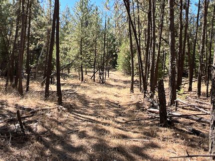 Timberland Property for sale in Spokane County, Washington