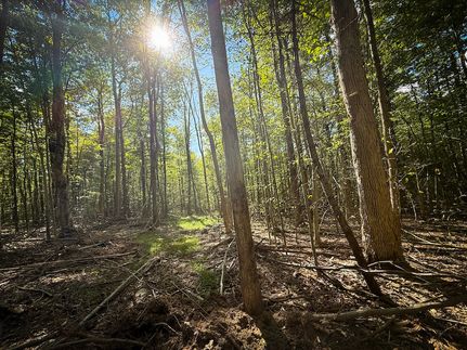 Undeveloped Land for sale in Tompkins County, New York