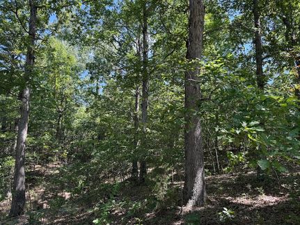 Timberland Property for sale in Izard County, Arkansas