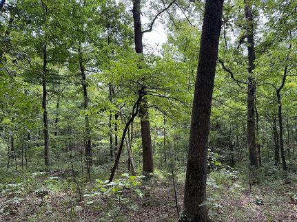 Timberland Property for sale in Boone County, Arkansas