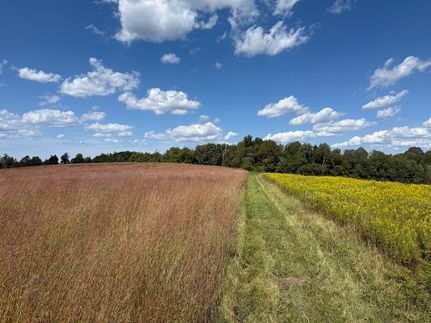 Property in Erie County, Pennsylvania