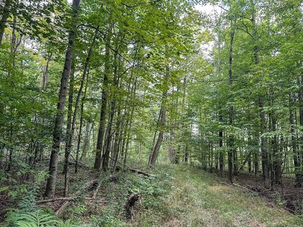 Property for sale in Allegany County, New York