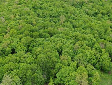 Property for sale in Becker County, Minnesota