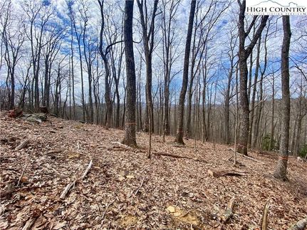 Property in Avery County, North Carolina