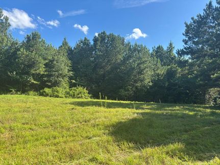 Residential Property for sale in Pike County, Alabama