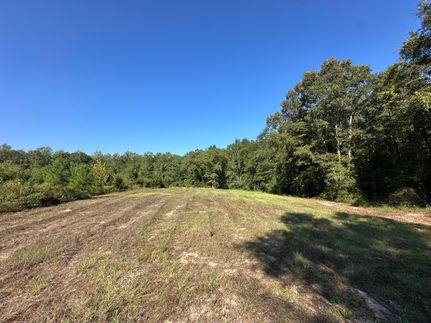 Property for sale in Conecuh County, Alabama