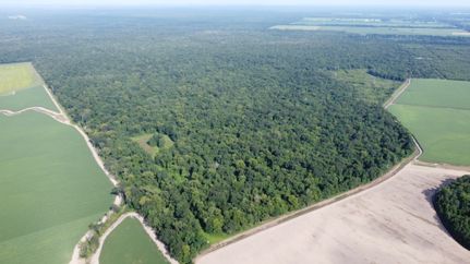 Property for sale in Iberville Parish, Louisiana