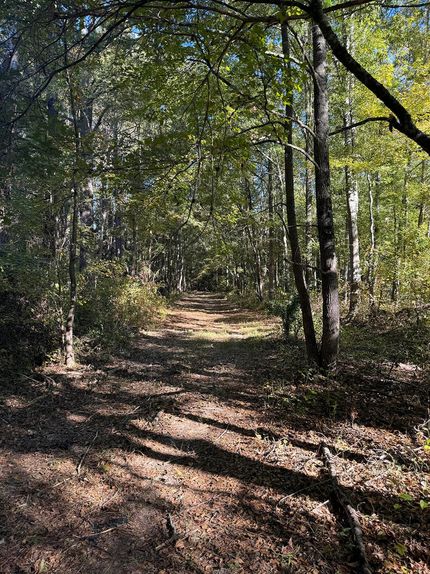 Undeveloped Land for sale in Leake County, Mississippi