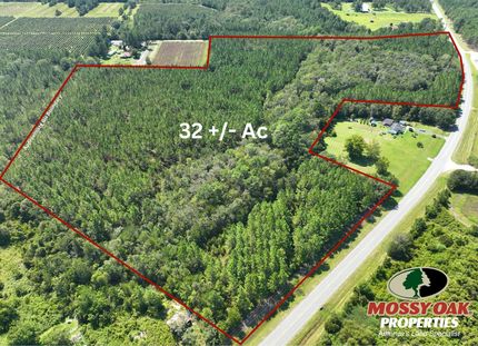 Property for sale in Pierce County, Georgia