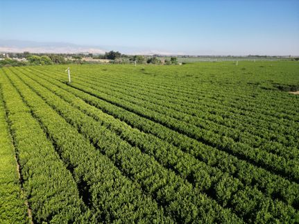 Property for sale in Tulare County, California