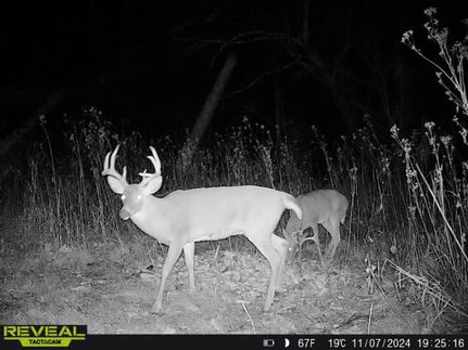 Property for sale in Cumberland County, Kentucky