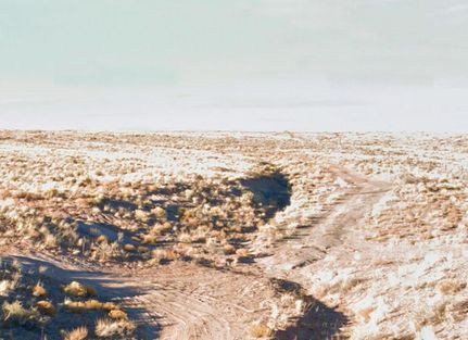 Undeveloped Land for sale in Navajo County, Arizona