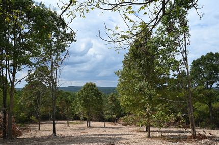 Undeveloped Land for sale in Douglas County, Missouri