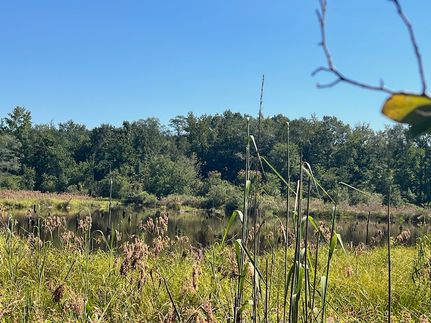 Property for sale in Glascock County, Georgia