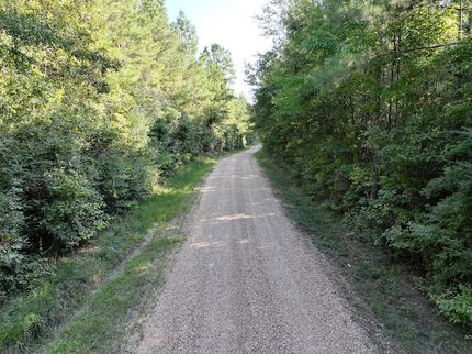 Timberland Property for sale in Saint Helena Parish, Louisiana