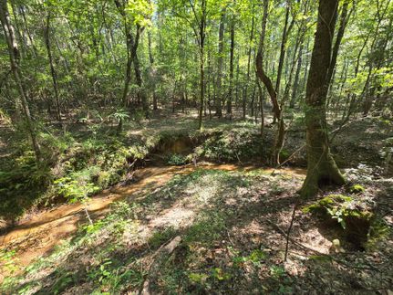 Property for sale in Pickens County, Alabama