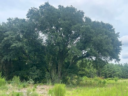 Property for sale in Darlington County, South Carolina