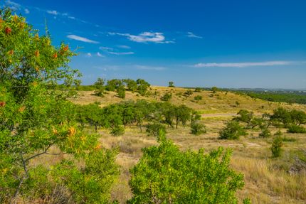 Undeveloped Land for sale in Travis County, Texas