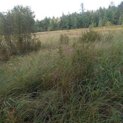 Property for sale in Fulton County, New York