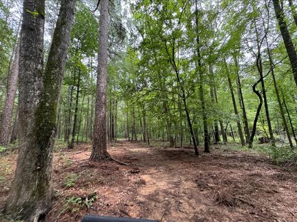 Property for sale in Morris County, Texas