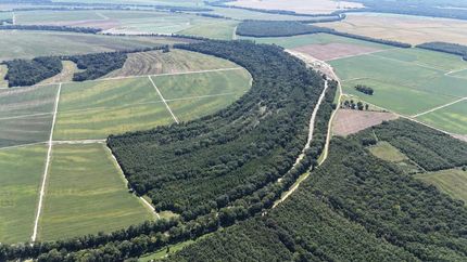 Property for sale in Holmes County, Mississippi