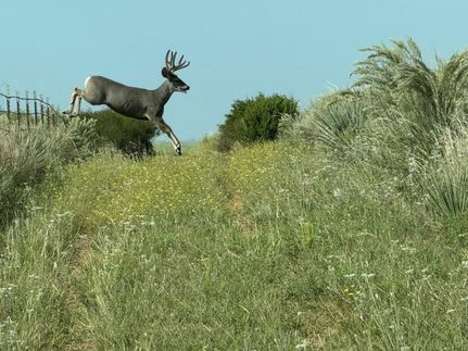 Property for sale in Donley County, Texas