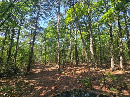 Undeveloped Land for sale in Pushmataha County, Oklahoma