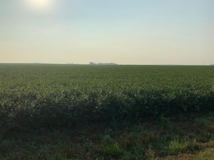 Farm Property for sale in Champaign County, Illinois