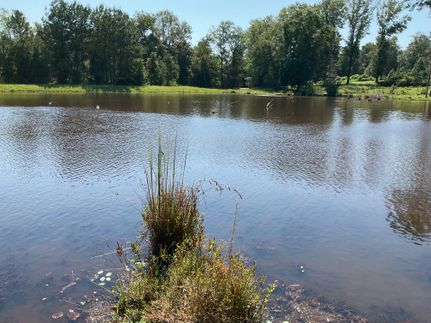 Residential Property for sale in Pike County, Alabama