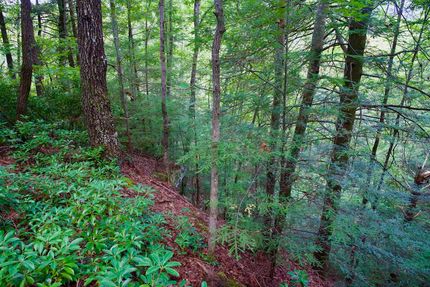 Undeveloped Land for sale in Van Buren County, Tennessee