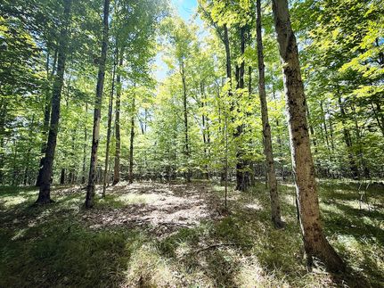 Timberland Property for sale in Tioga County, New York