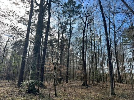 Hunting Land for sale in Scott County, Mississippi
