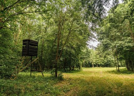 Property for sale in Lafayette County, Mississippi