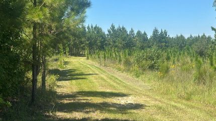 Undeveloped Land for sale in Screven County, Georgia