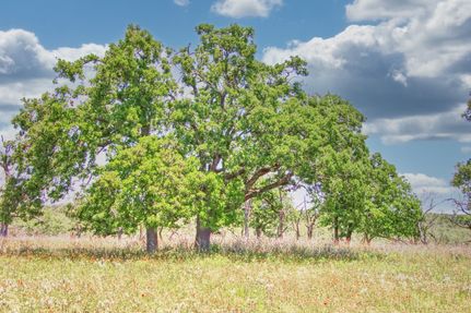 Farm Property for sale in Gillespie County, Texas